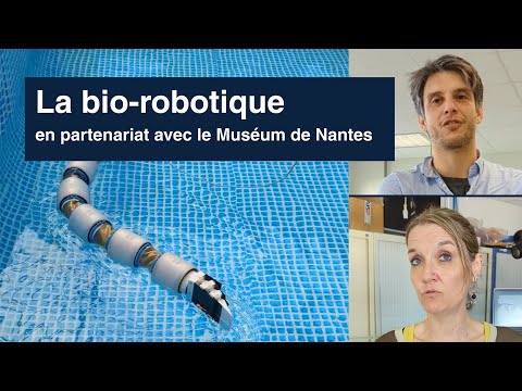 Aperçu de la vidéo : 4.1. Bio-inspiration morphologique : serpents aquatiques et nage anguilliforme